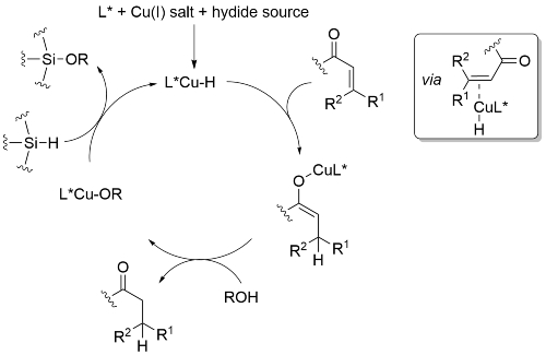 Conjugate catalytic cycle